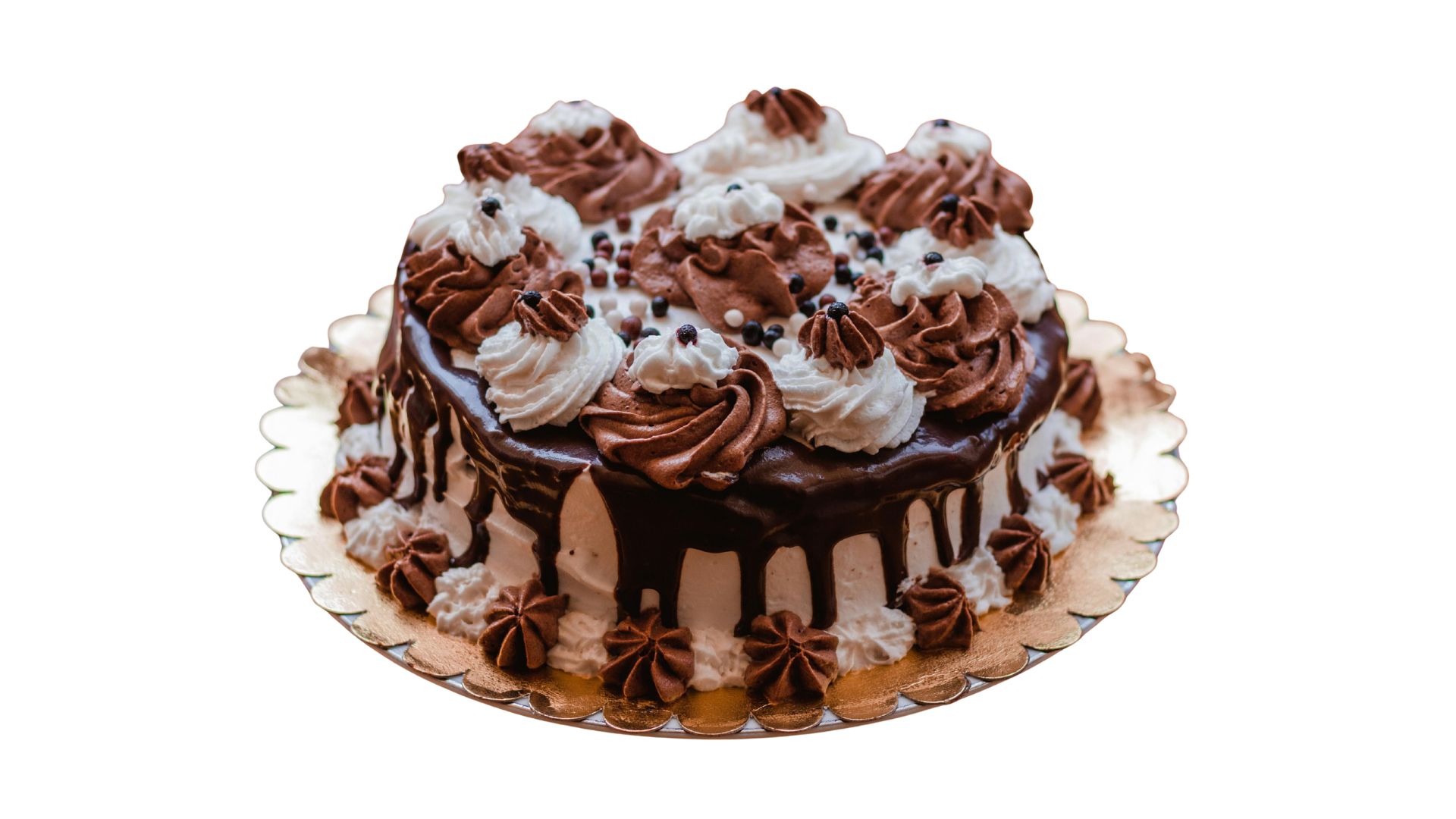Eggless Cake - Fresh Cake